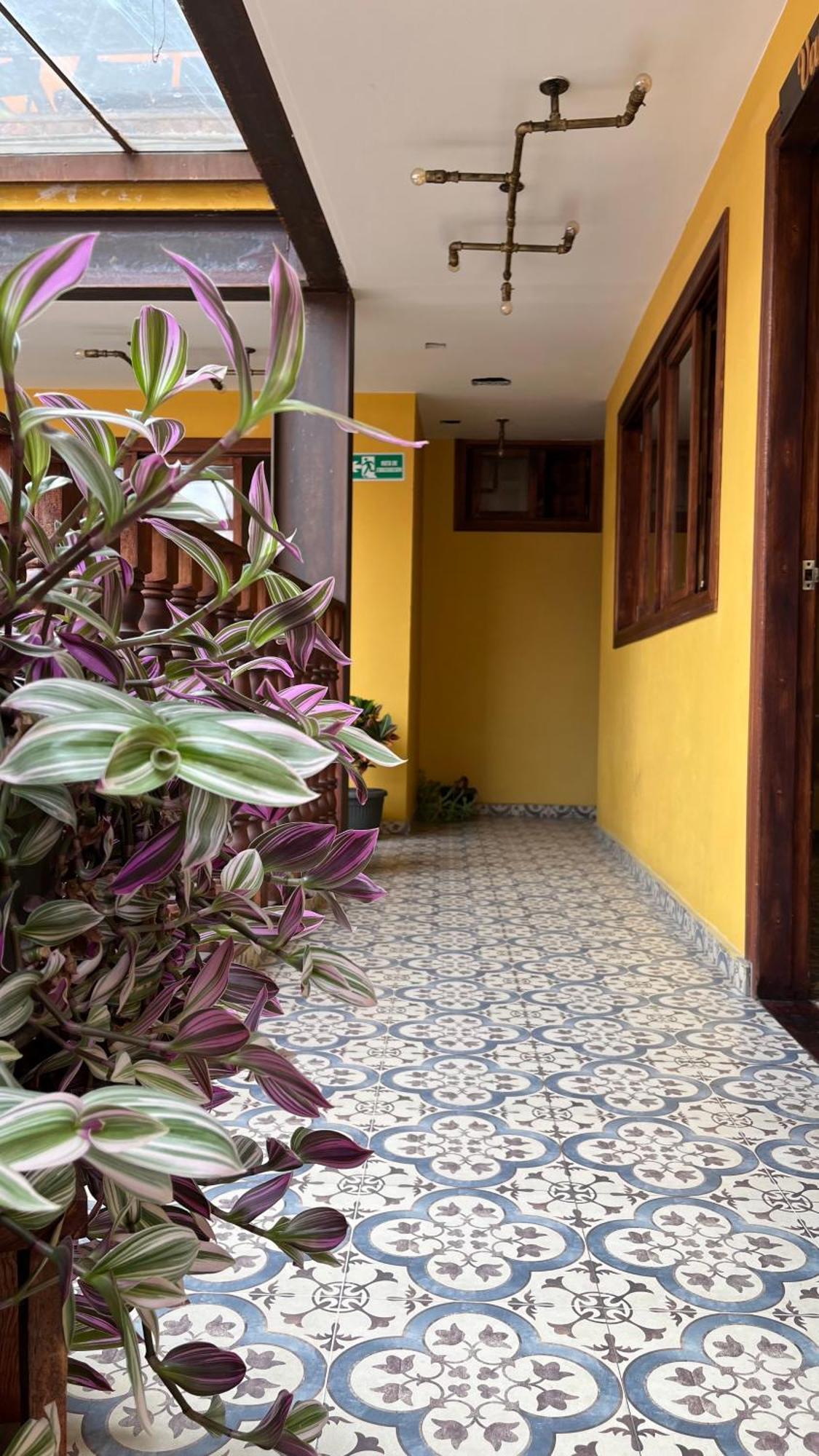 Hostal Casa Astromelia 波哥大 外观 照片